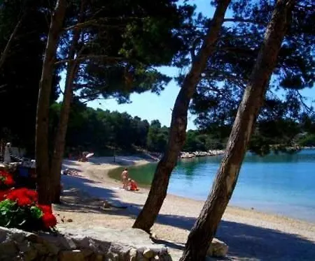 House In With Balcony, Air Conditioning, Wifi, Washing Machine 4993-1 Casa vacanze Drage
